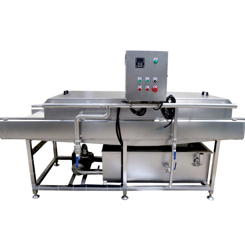 Date and fruit washing machine